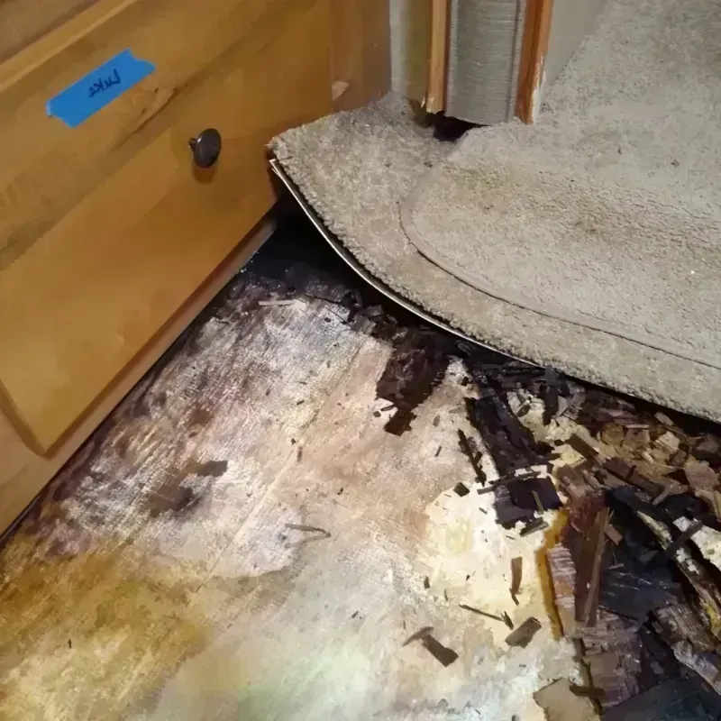 Wood Floor Water Damage in Ogden, UT